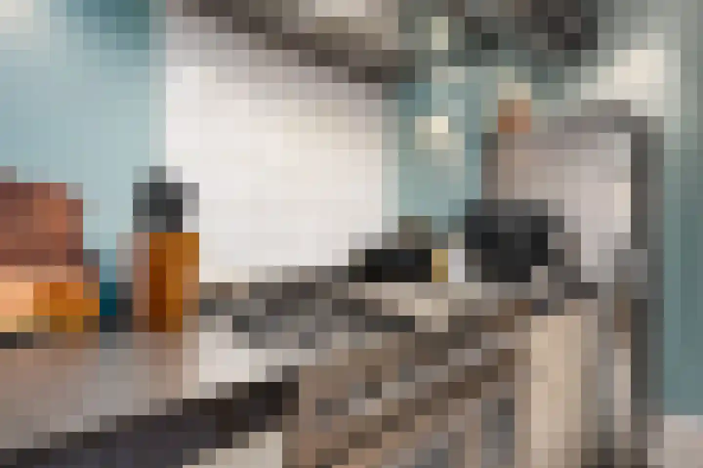 Eekelhof 19 Schijndel thumbnail 17