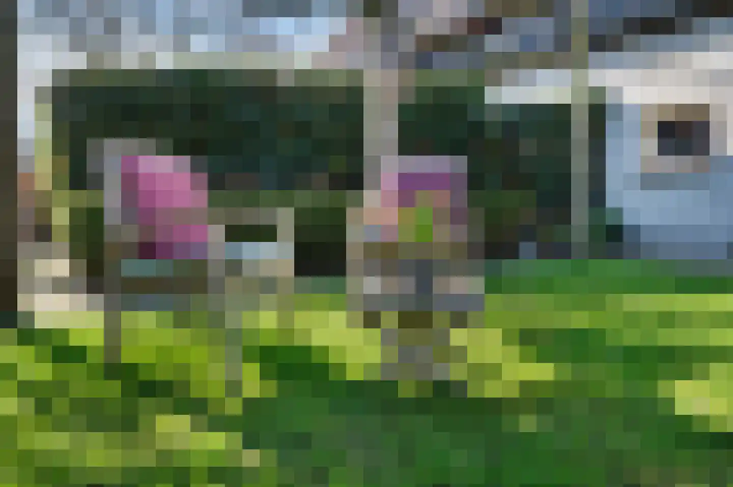 Eekelhof 19 Schijndel thumbnail 51