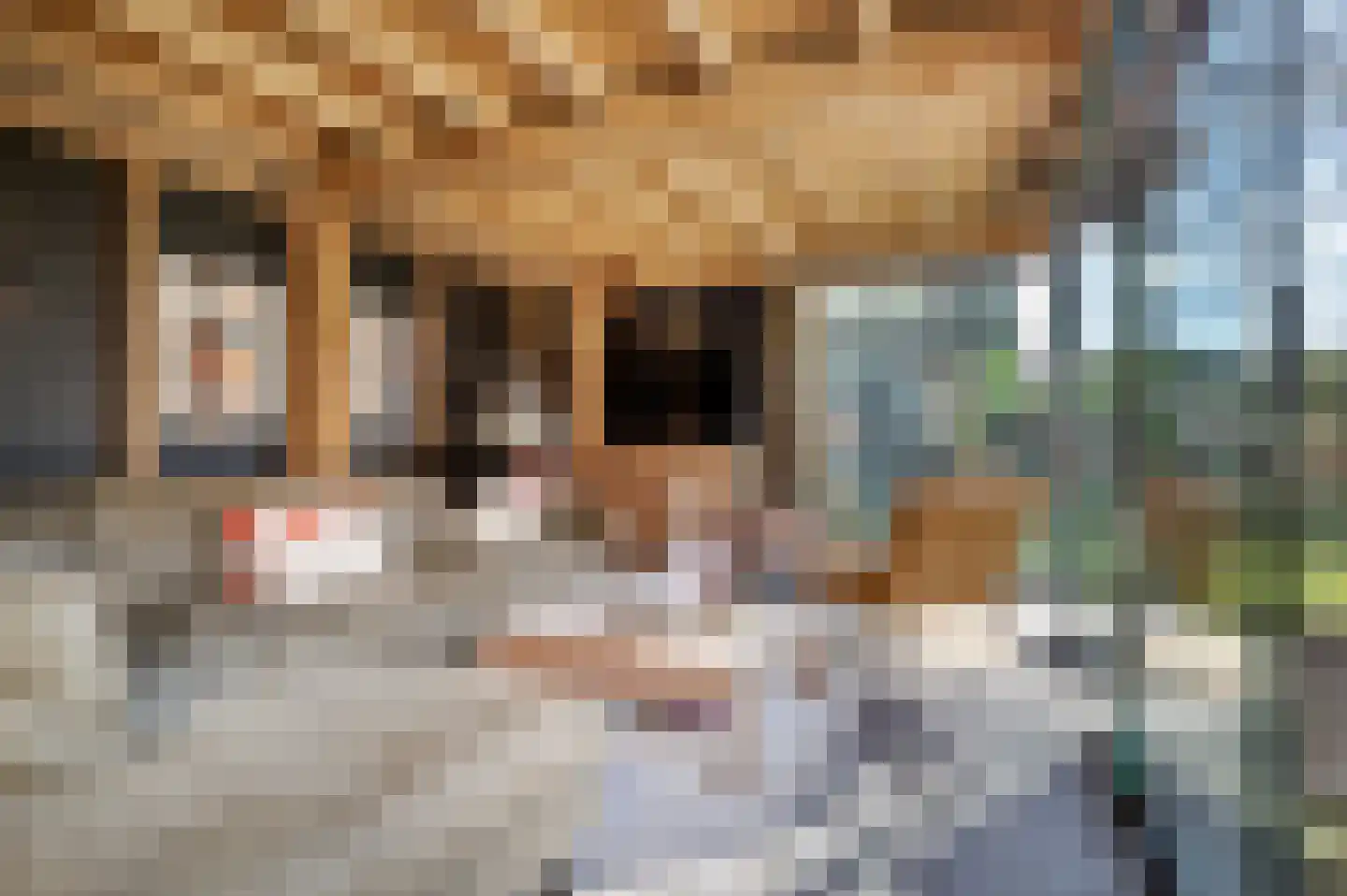 Eekelhof 19 Schijndel thumbnail 54