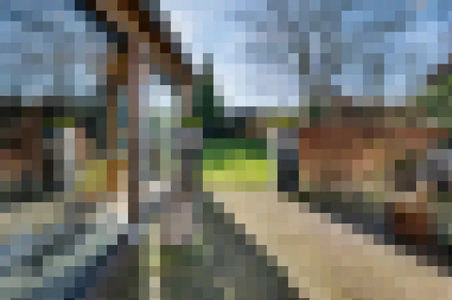 Eekelhof 19 Schijndel thumbnail 56