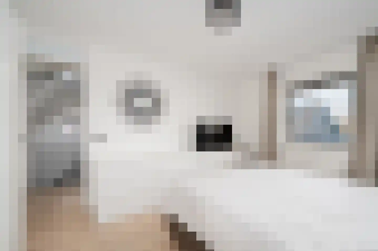 Eekelhof 34 Schijndel thumbnail 23