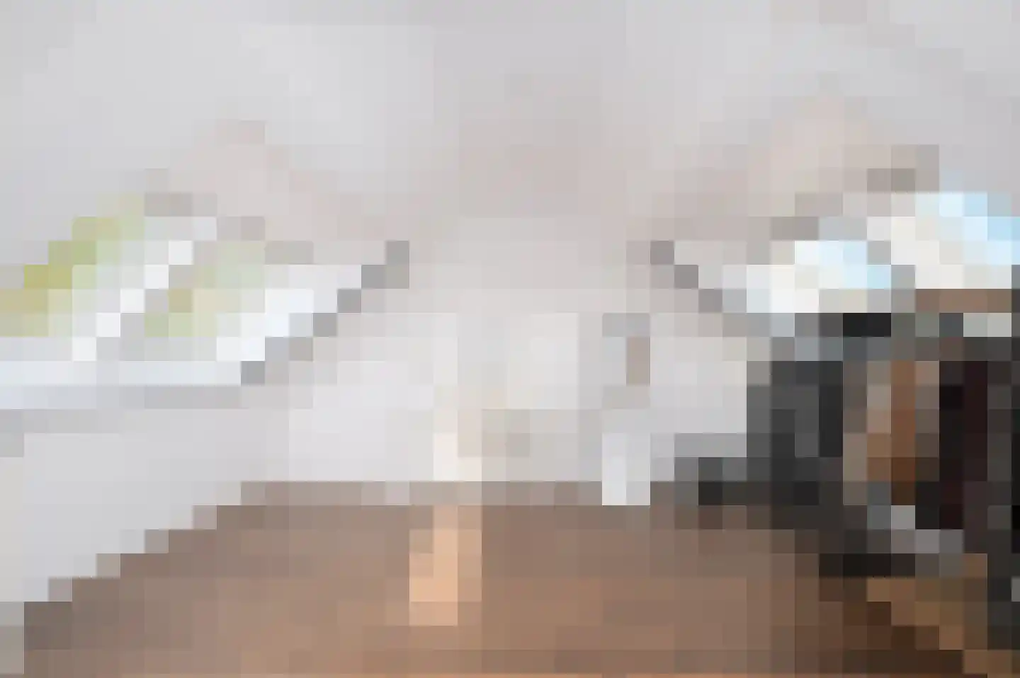 Eekelhof 34 Schijndel thumbnail 31