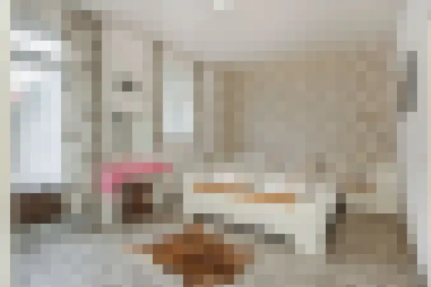 Eekhof 20 Deurne thumbnail 15