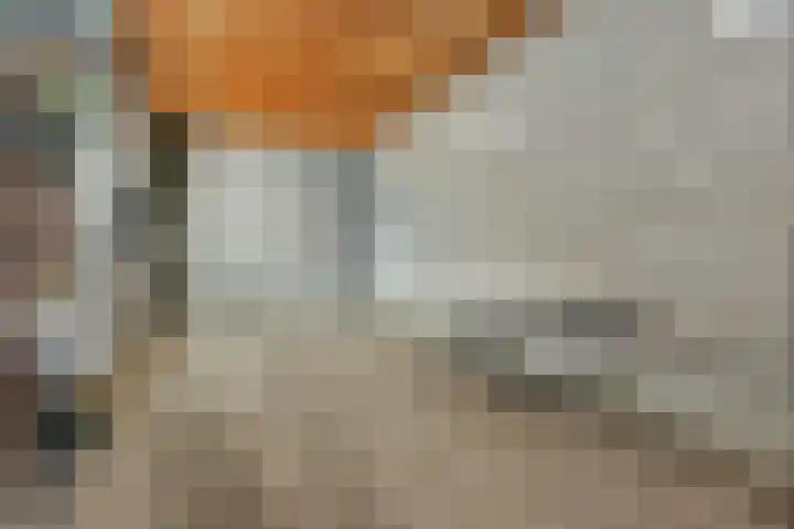 Eekhof 20 Deurne thumbnail 28