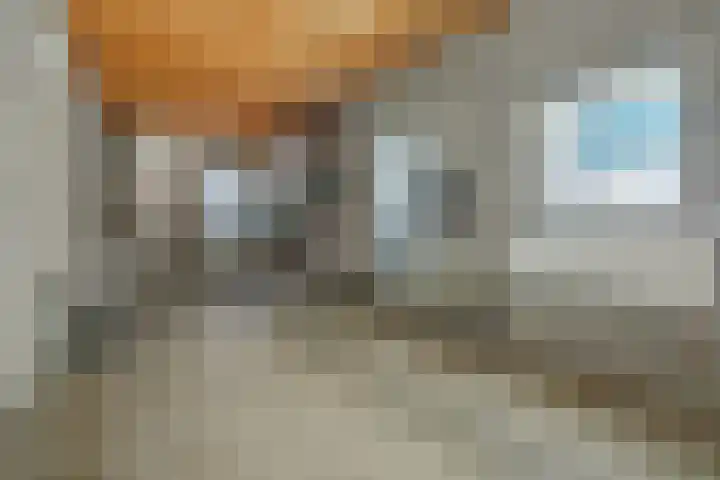 Eekhof 20 Deurne thumbnail 29