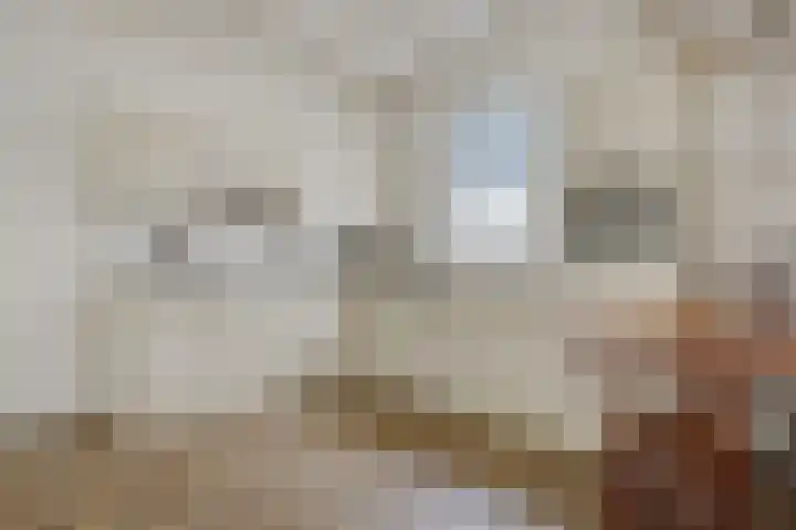 Eekhof 20 Deurne foto 3