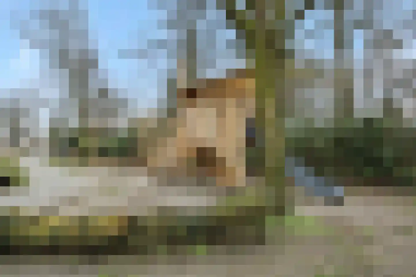 Eekhof 20 Deurne thumbnail 36