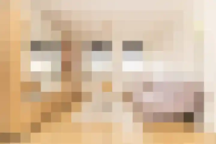 Eekhof 20 Deurne thumbnail 37