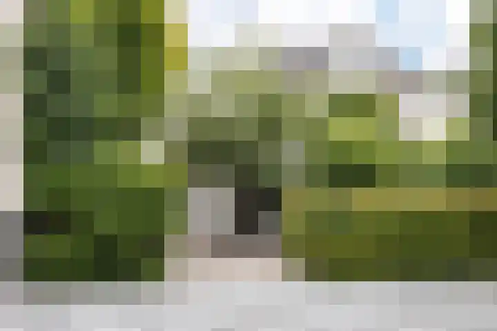 Eekhof 20 Deurne thumbnail 39