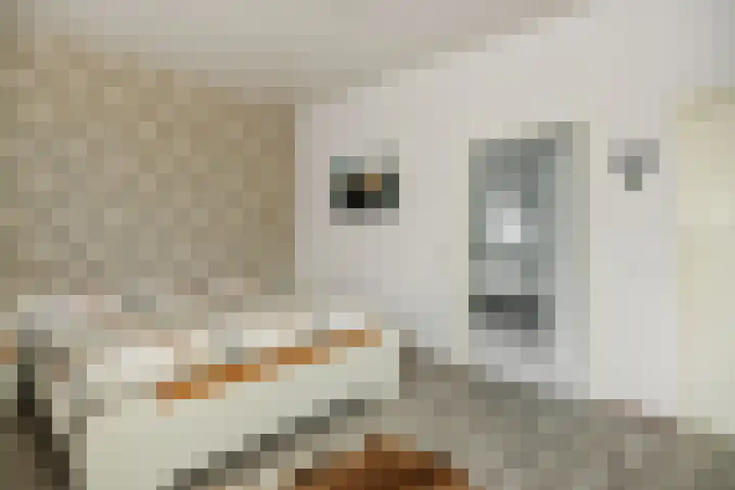 Eekhof 20 Deurne thumbnail 4