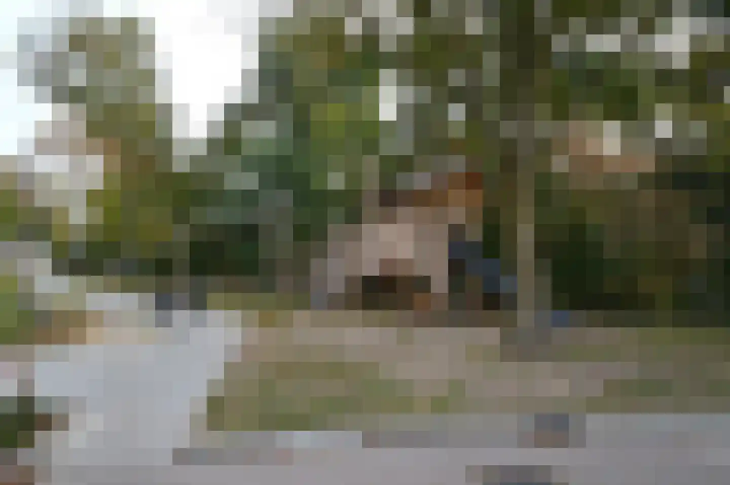 Eekhof 7 Deurne thumbnail 26