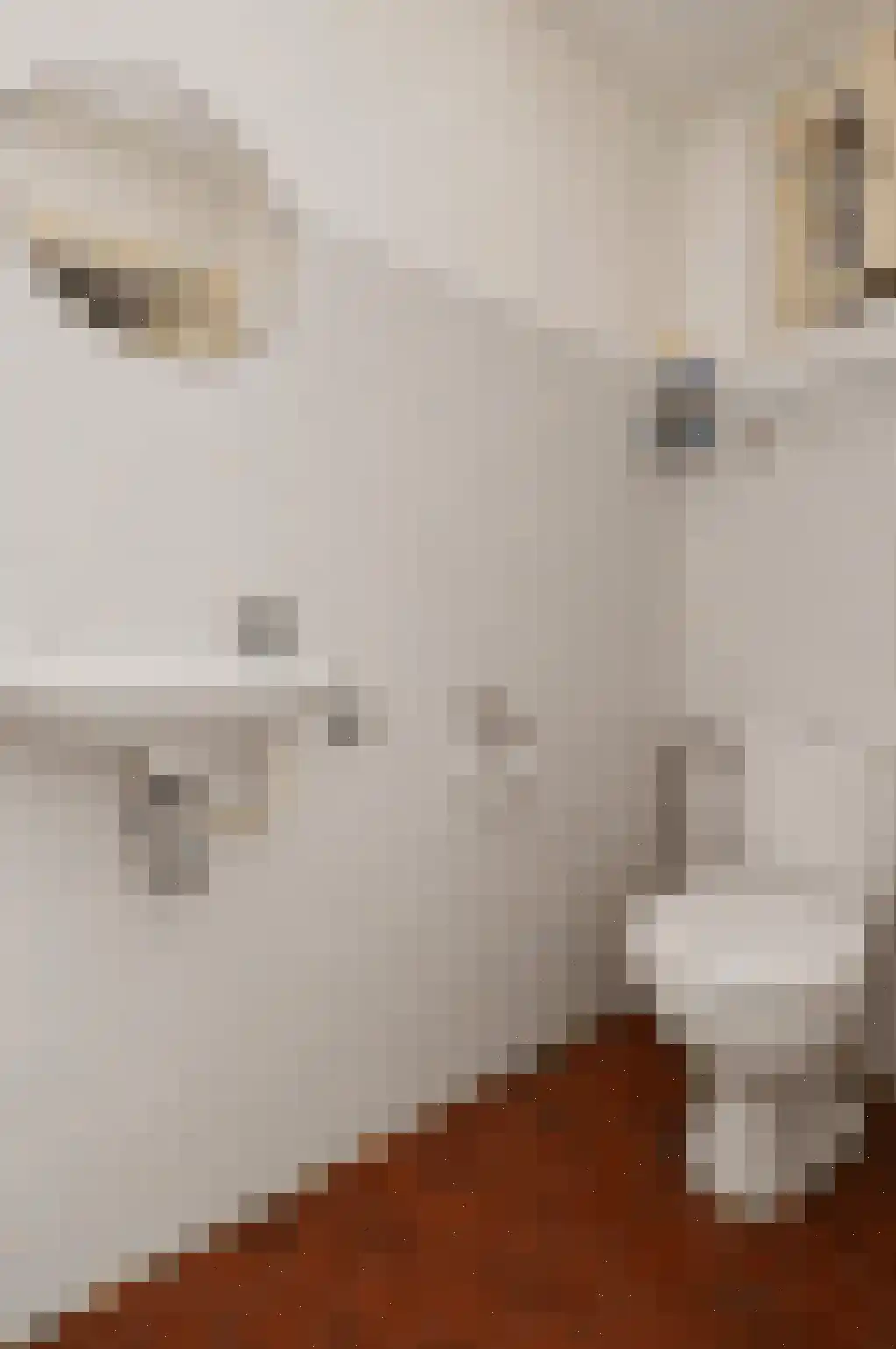 Eekhof 7 Deurne thumbnail 9