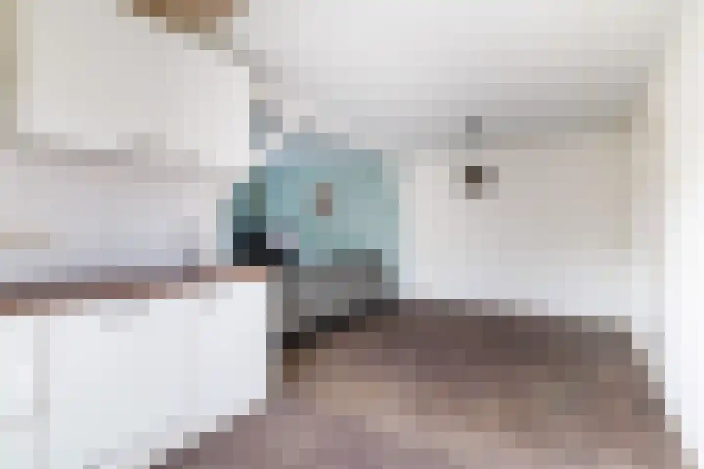 Eekhof 7 Vroomshoop thumbnail 12