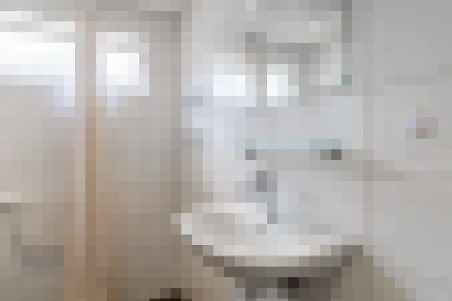 Eekhof 7 Vroomshoop thumbnail 16