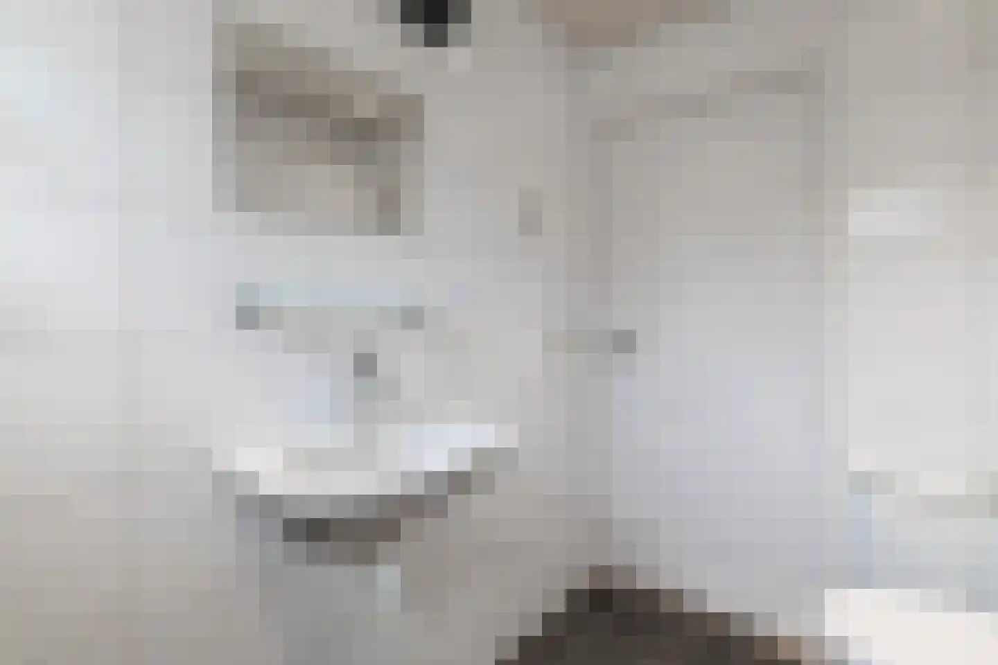 Eekhof 7 Vroomshoop thumbnail 18