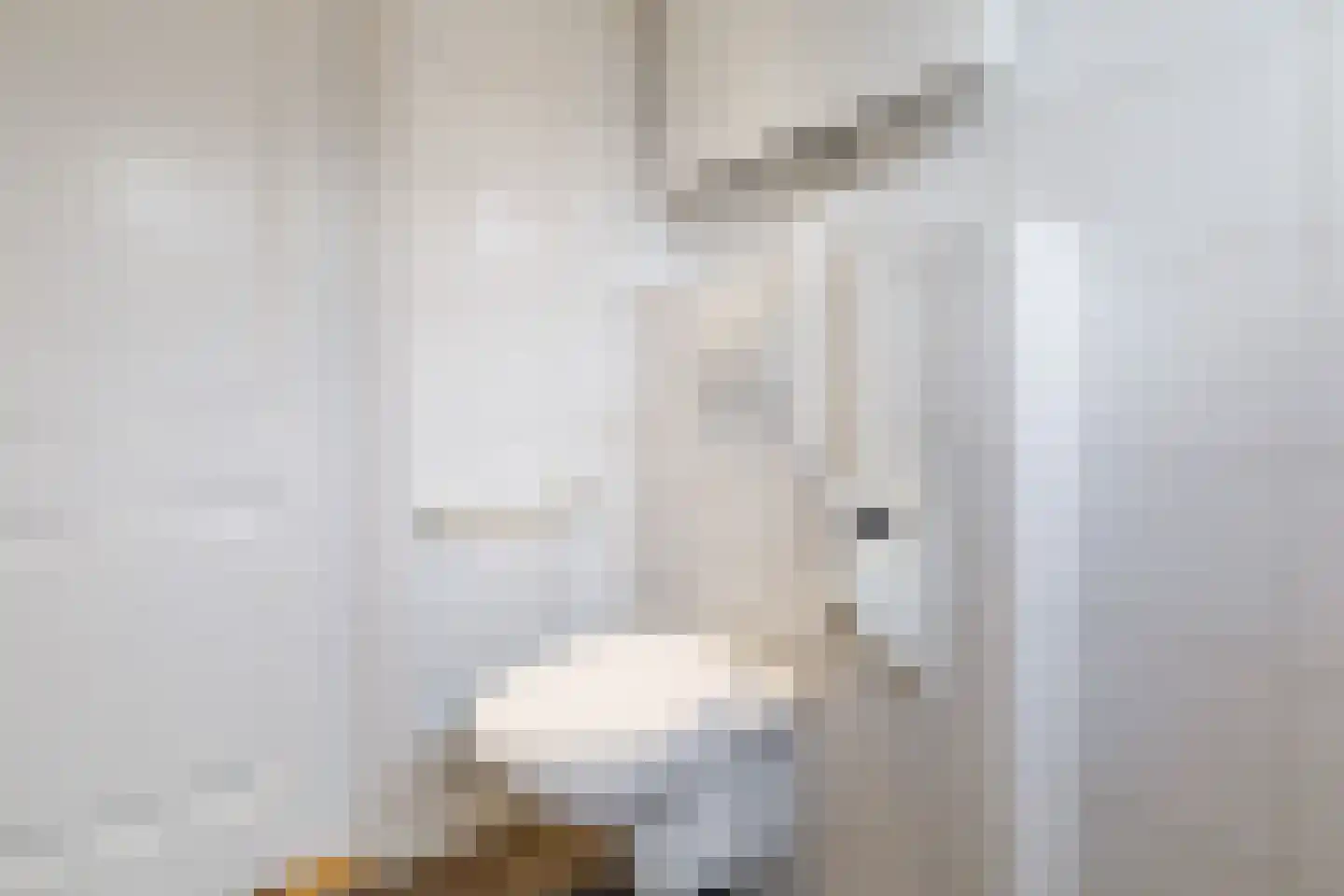 Eekhof 7 Vroomshoop thumbnail 19