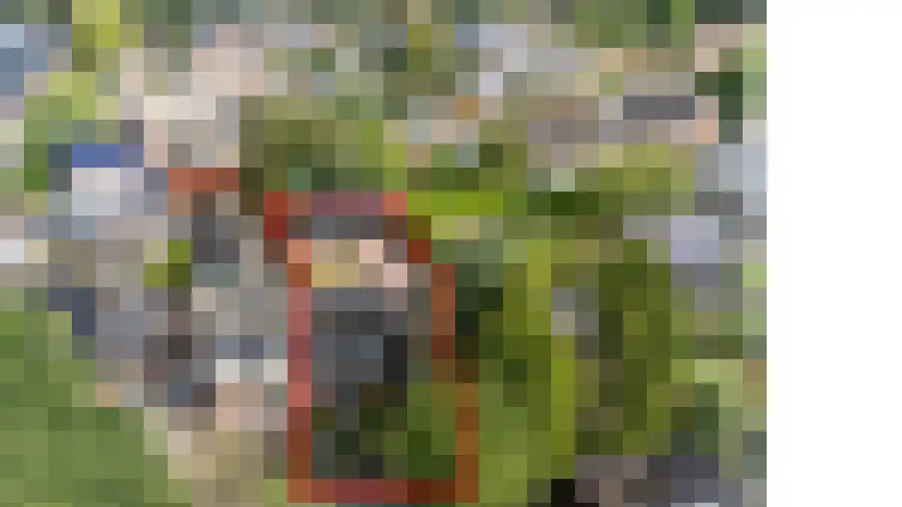 Eekhof 7 Vroomshoop foto 2