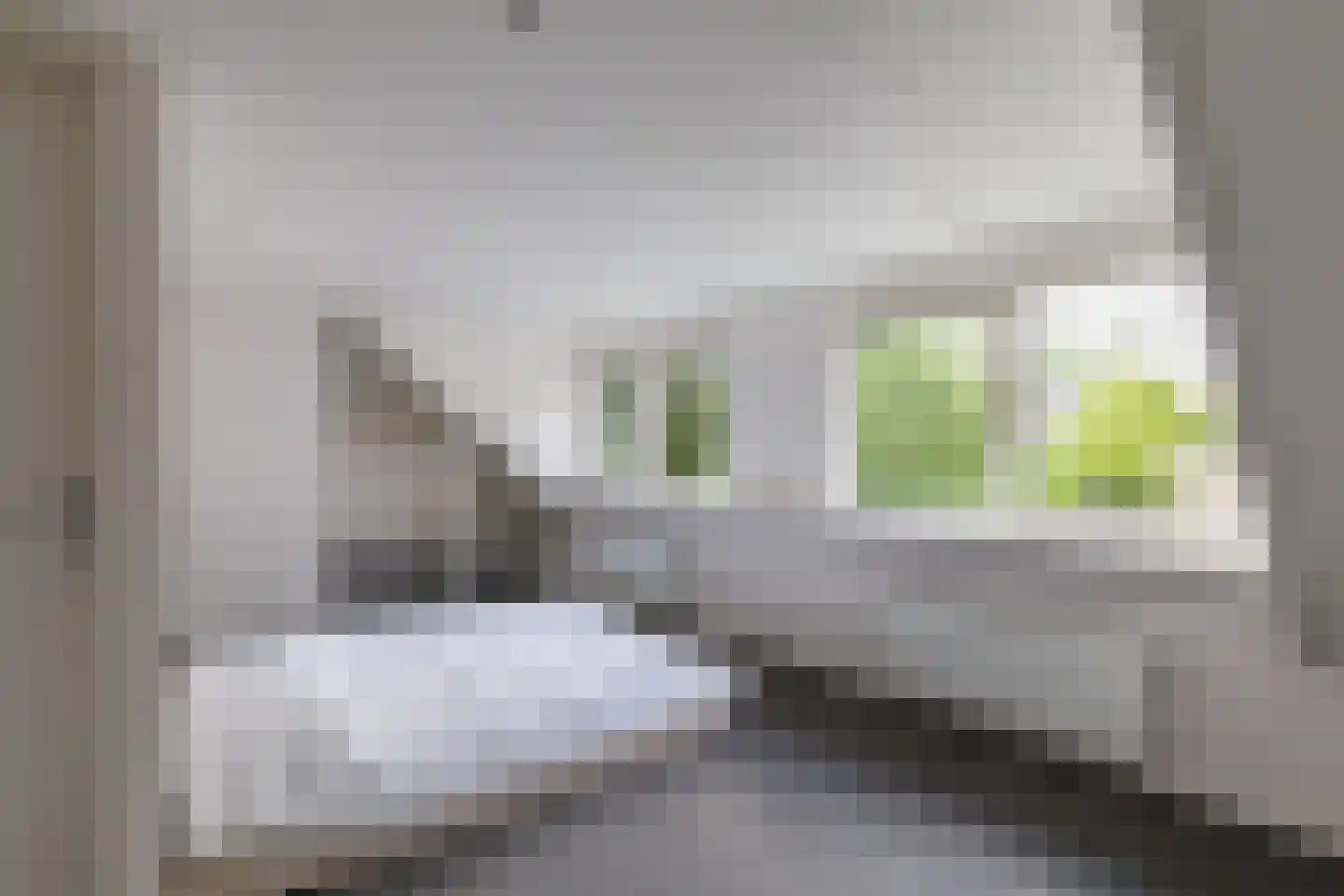 Eekhof 7 Vroomshoop thumbnail 20