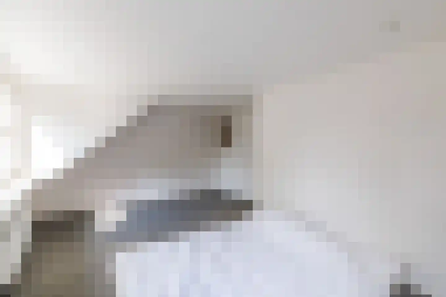 Eekhof 7 Vroomshoop thumbnail 21