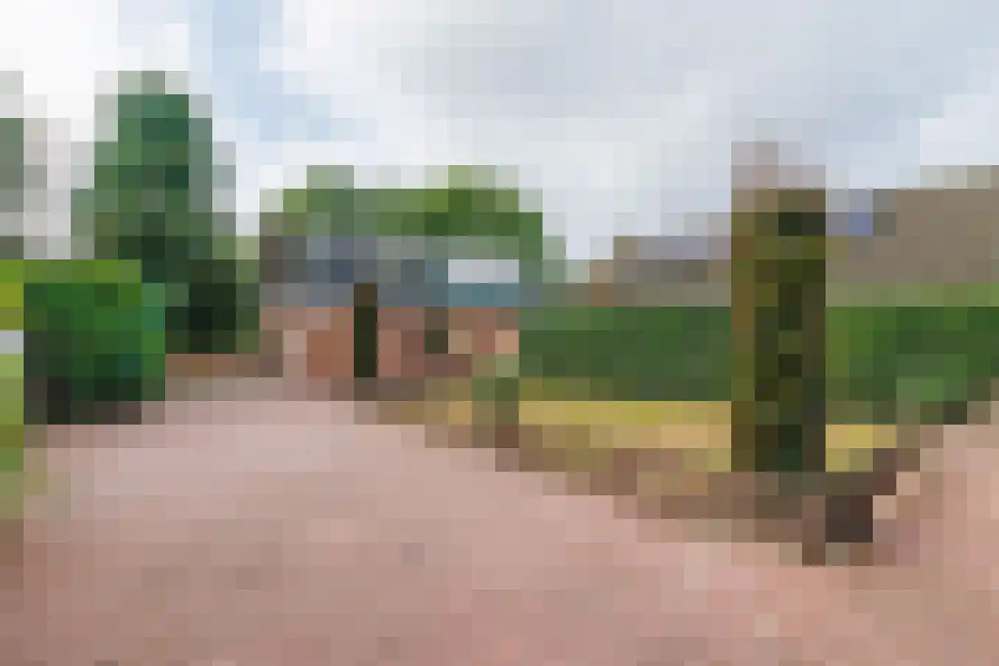 Eekhof 7 Vroomshoop thumbnail 24