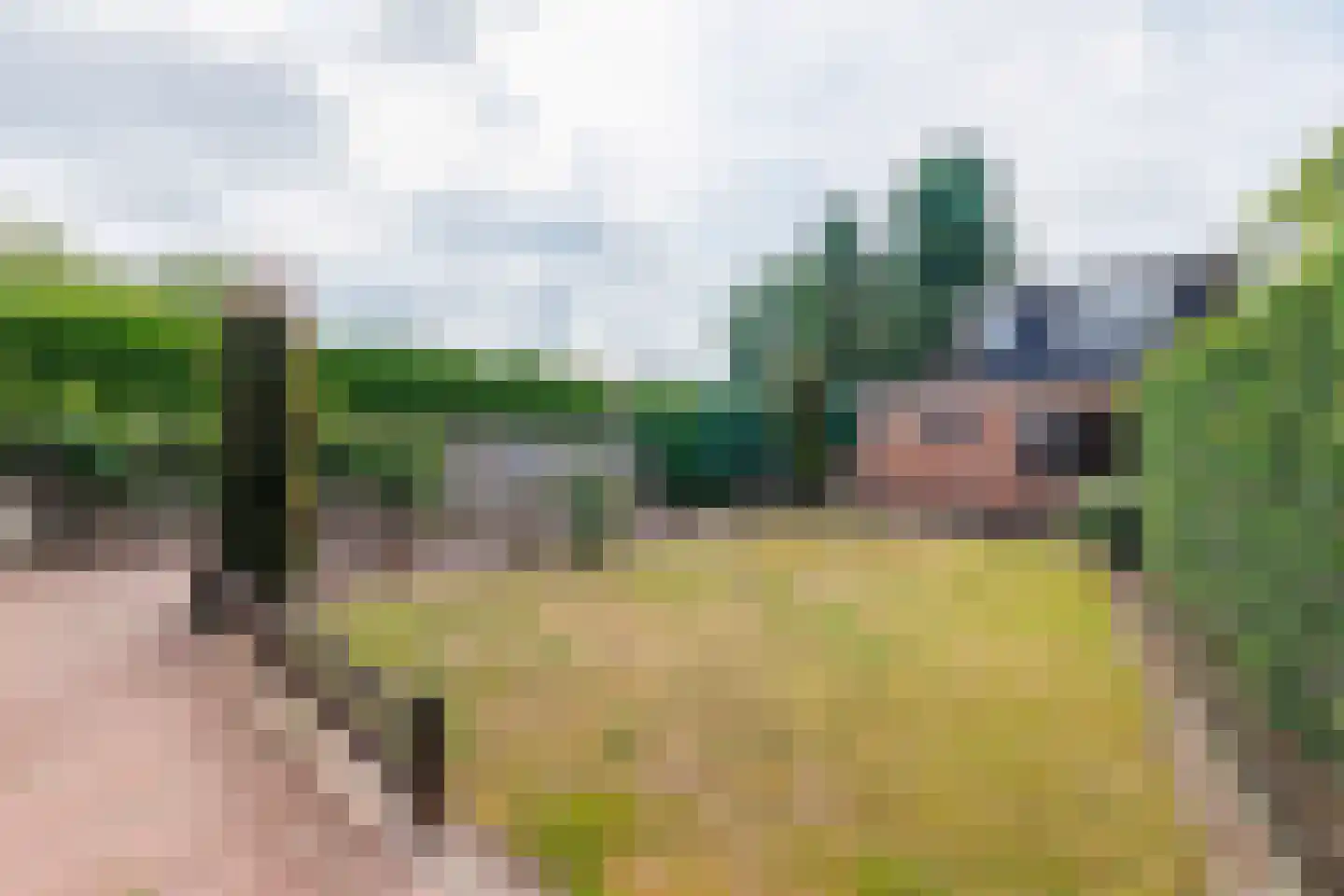 Eekhof 7 Vroomshoop thumbnail 25