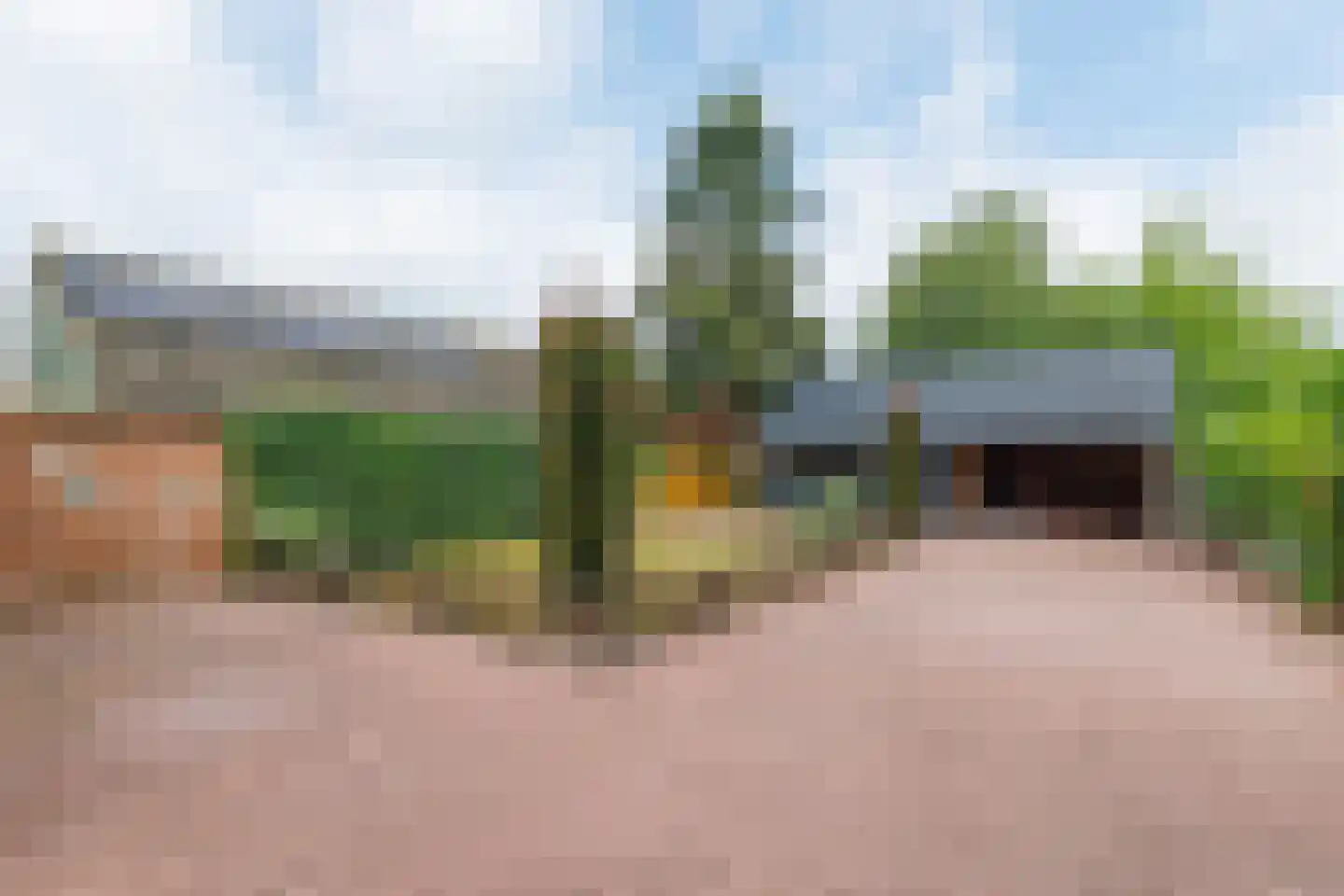Eekhof 7 Vroomshoop thumbnail 27