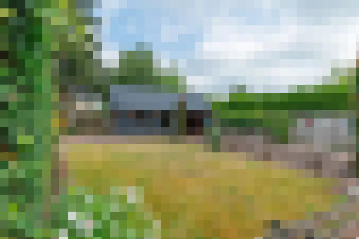 Eekhof 7 Vroomshoop thumbnail 28