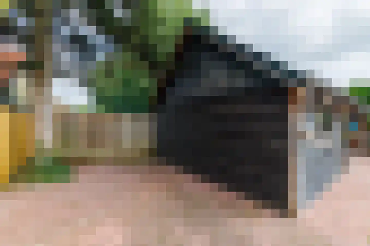 Eekhof 7 Vroomshoop thumbnail 31