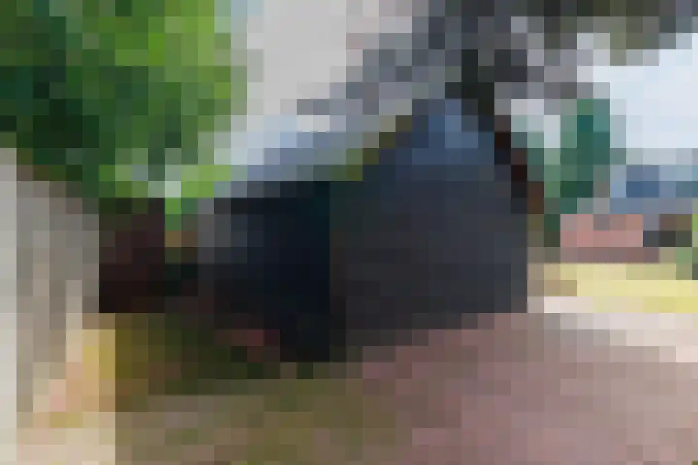 Eekhof 7 Vroomshoop thumbnail 32