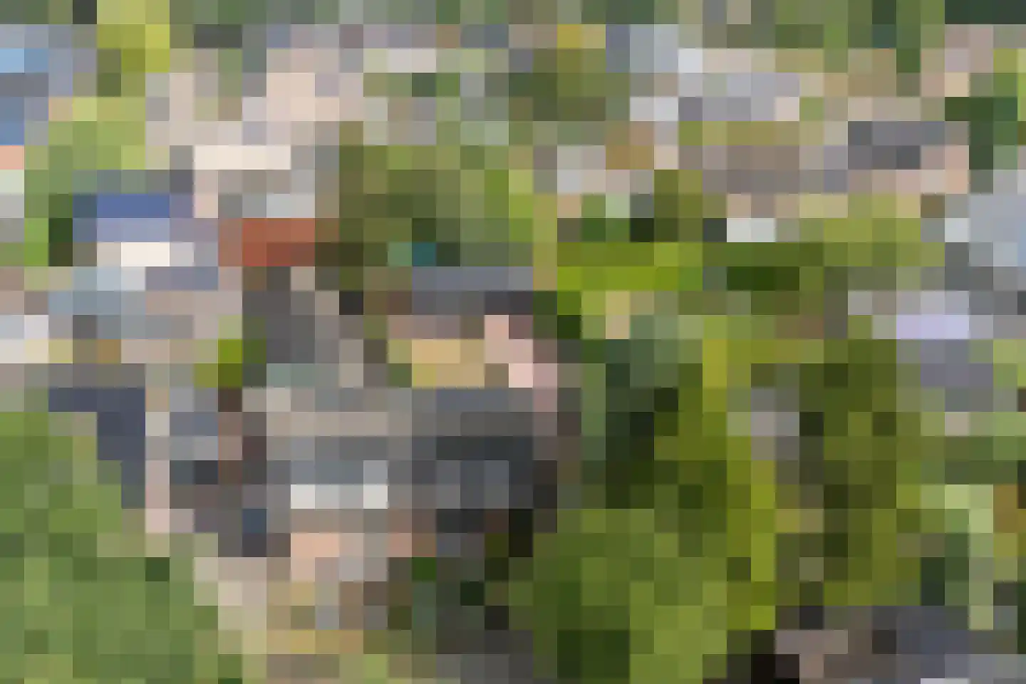 Eekhof 7 Vroomshoop thumbnail 36