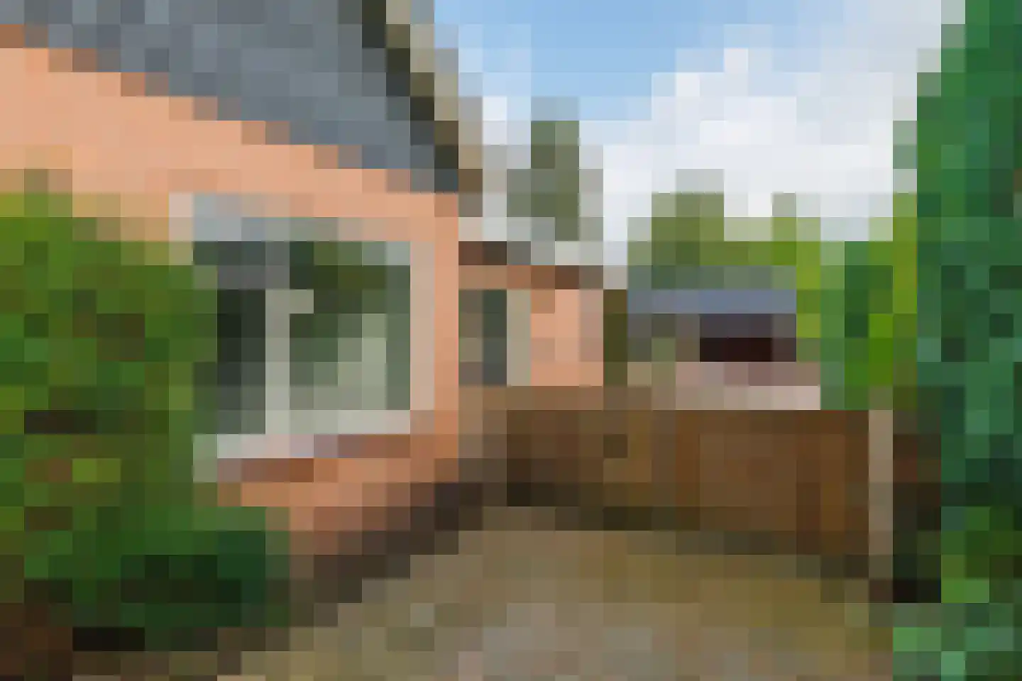Eekhof 7 Vroomshoop thumbnail 4
