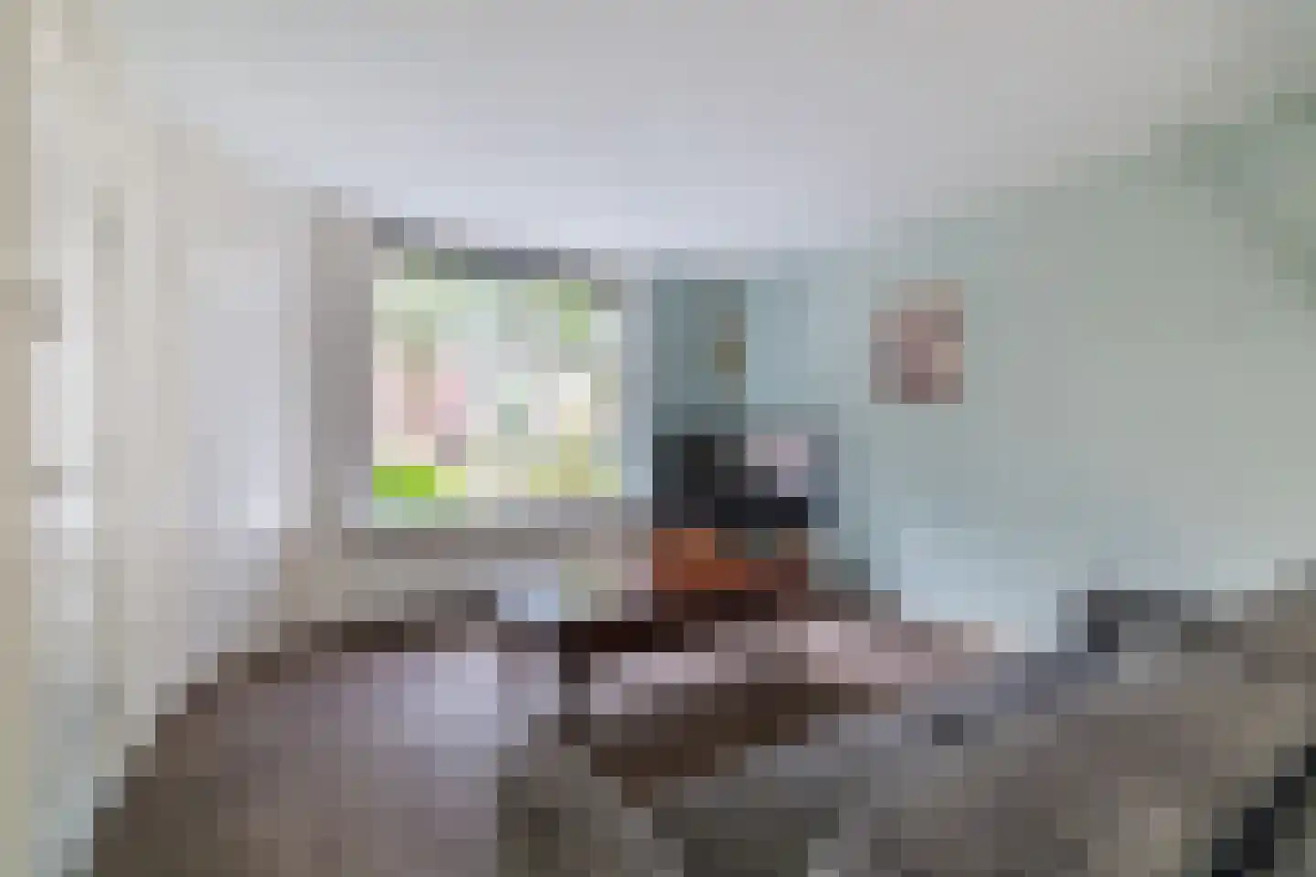Eekhof 7 Vroomshoop thumbnail 8