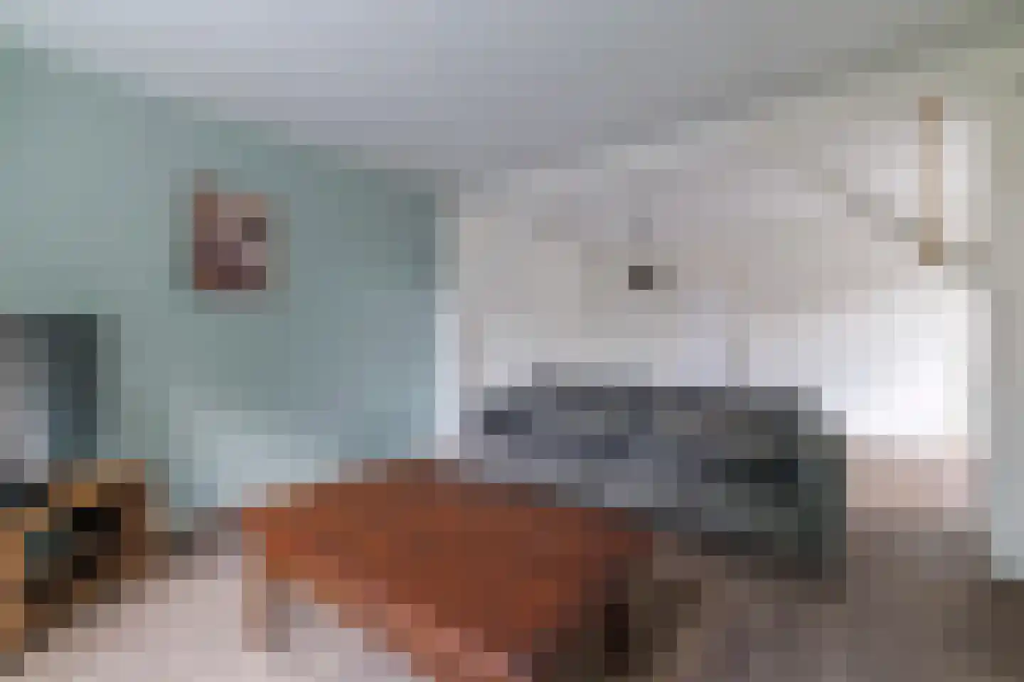Eekhof 7 Vroomshoop thumbnail 9