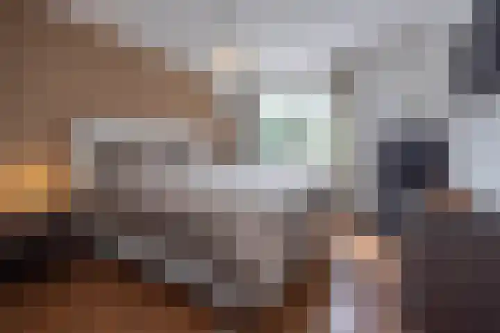 Eekhool 44 Hilvarenbeek thumbnail 15