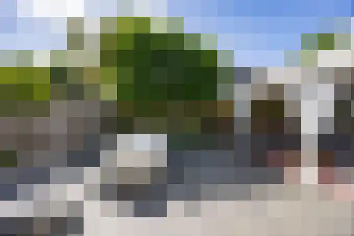 Eekhool 44 Hilvarenbeek thumbnail 26