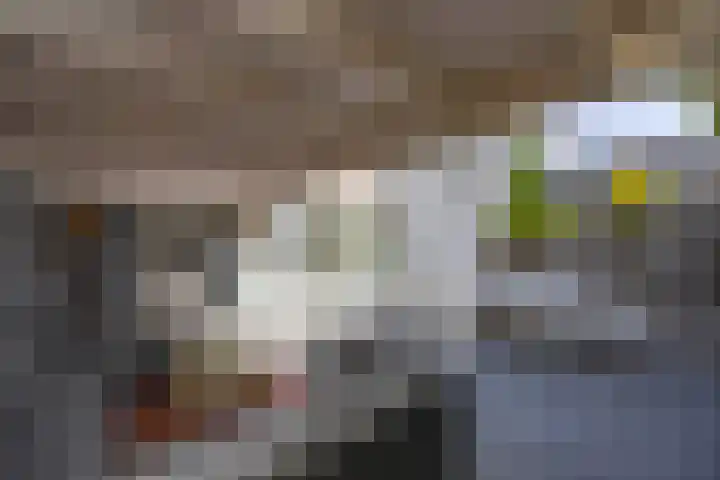 Eekhool 44 Hilvarenbeek thumbnail 28