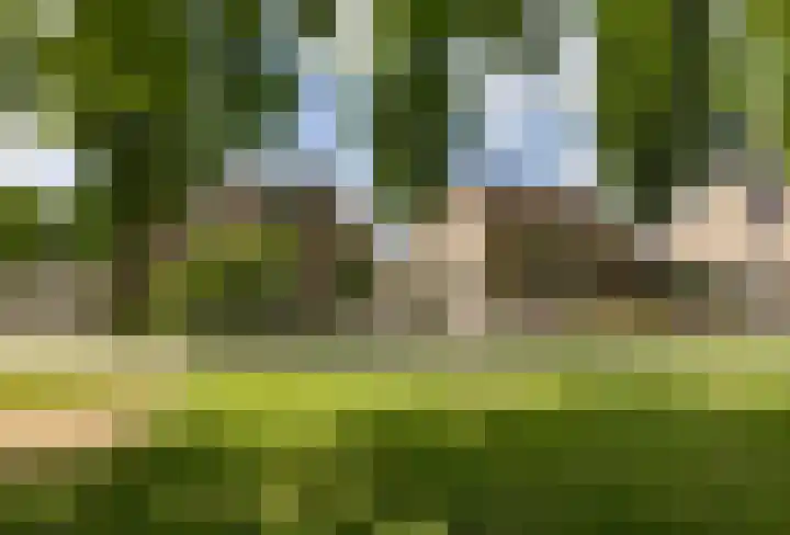 Eekhool 44 Hilvarenbeek thumbnail 32