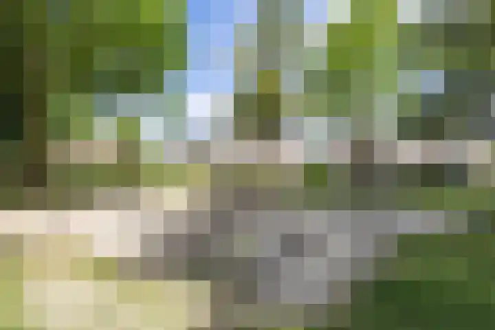Eekhool 44 Hilvarenbeek thumbnail 34