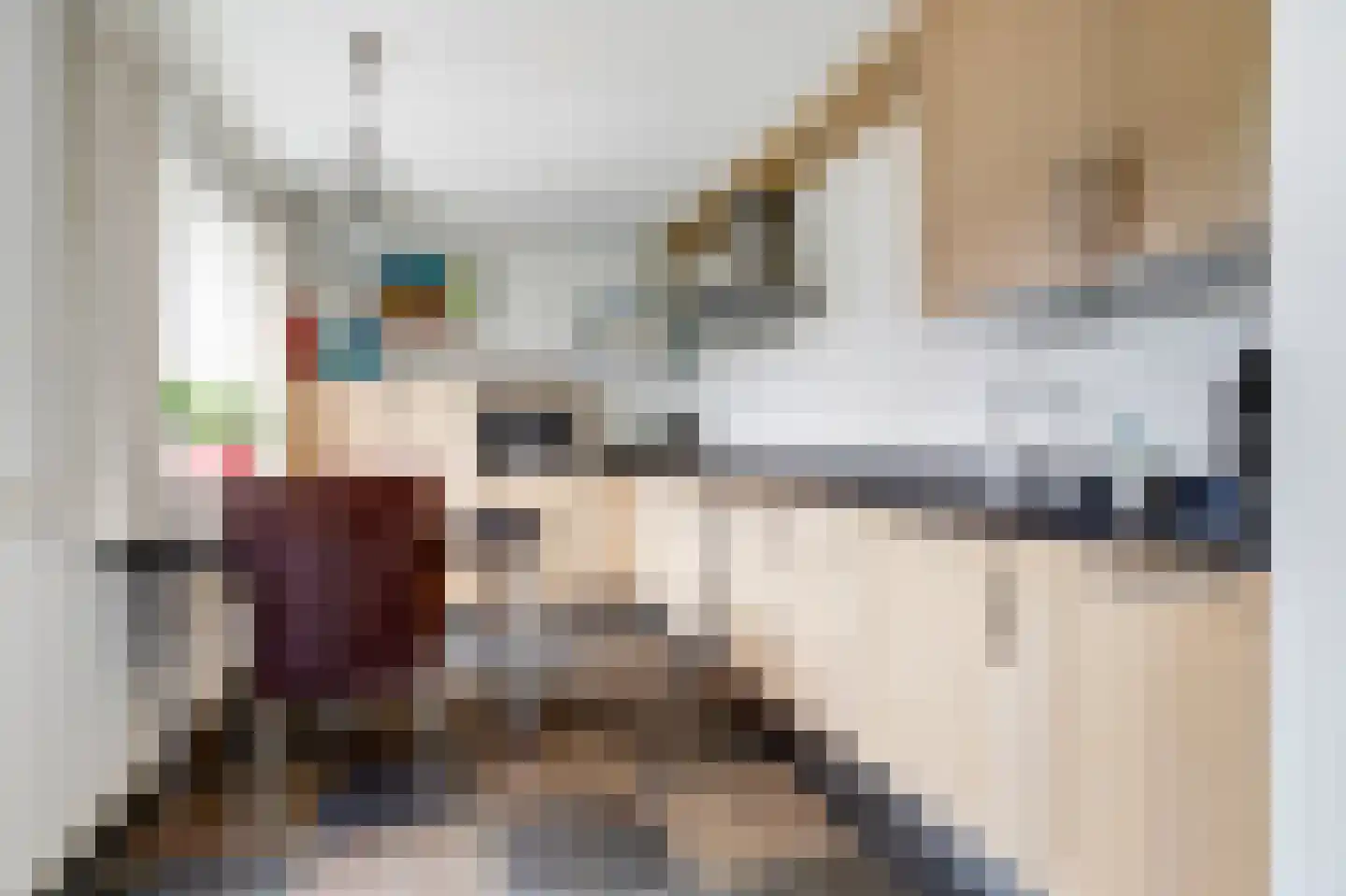 Eekhool 53 Hilvarenbeek thumbnail 11