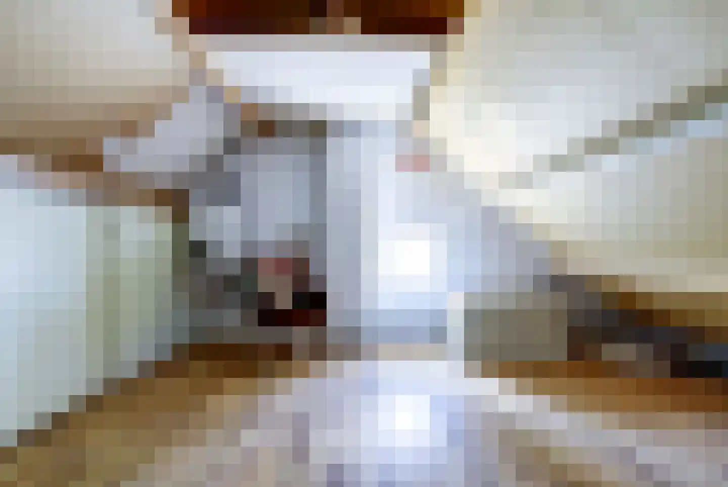 Eekhool 53 Hilvarenbeek thumbnail 24