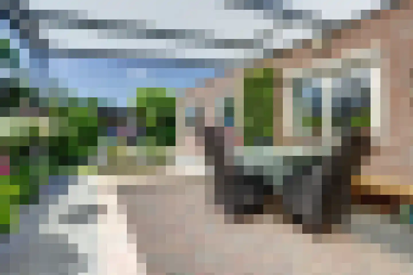 Eekhool 53 Hilvarenbeek thumbnail 25