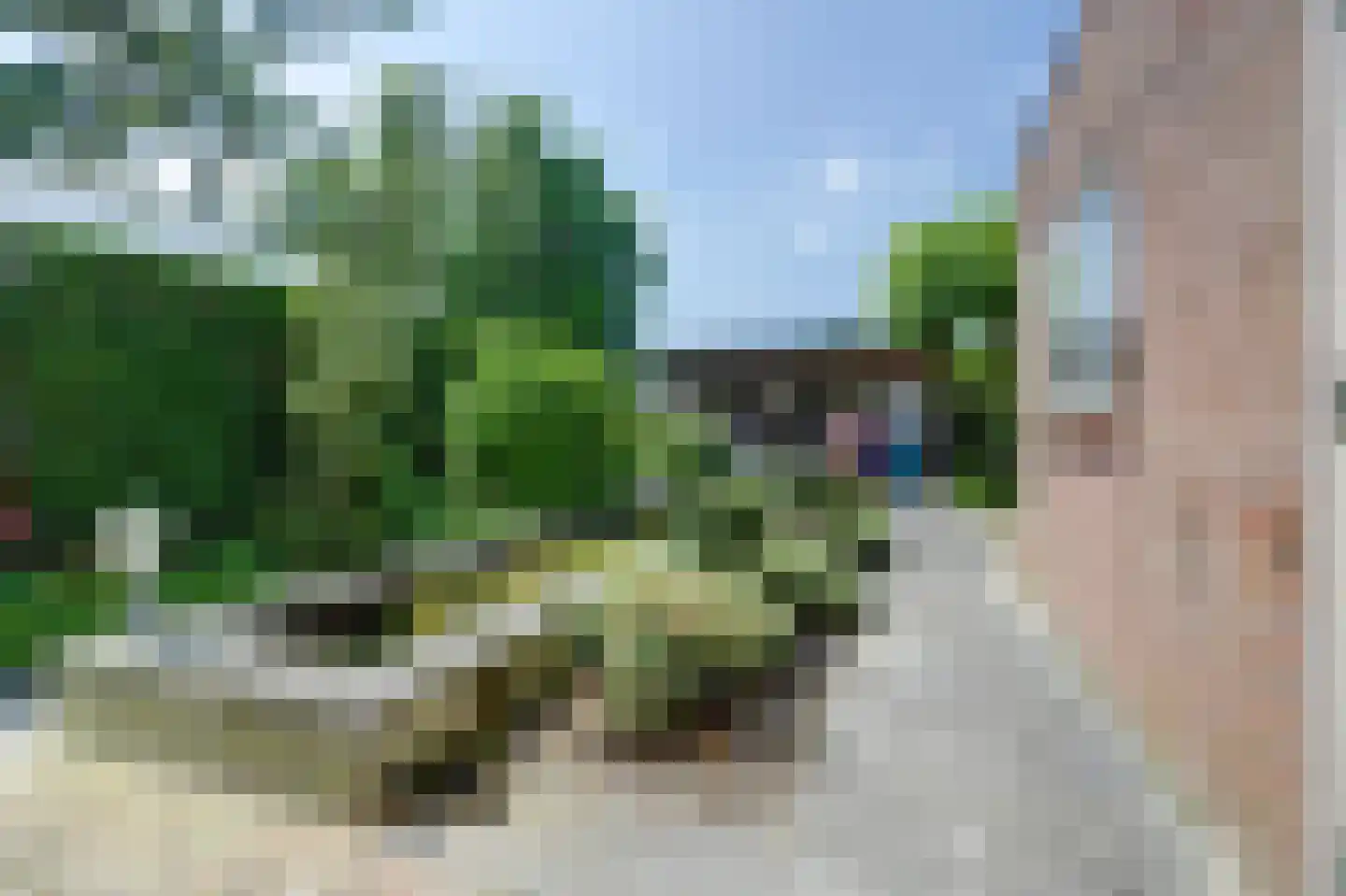 Eekhool 53 Hilvarenbeek thumbnail 26