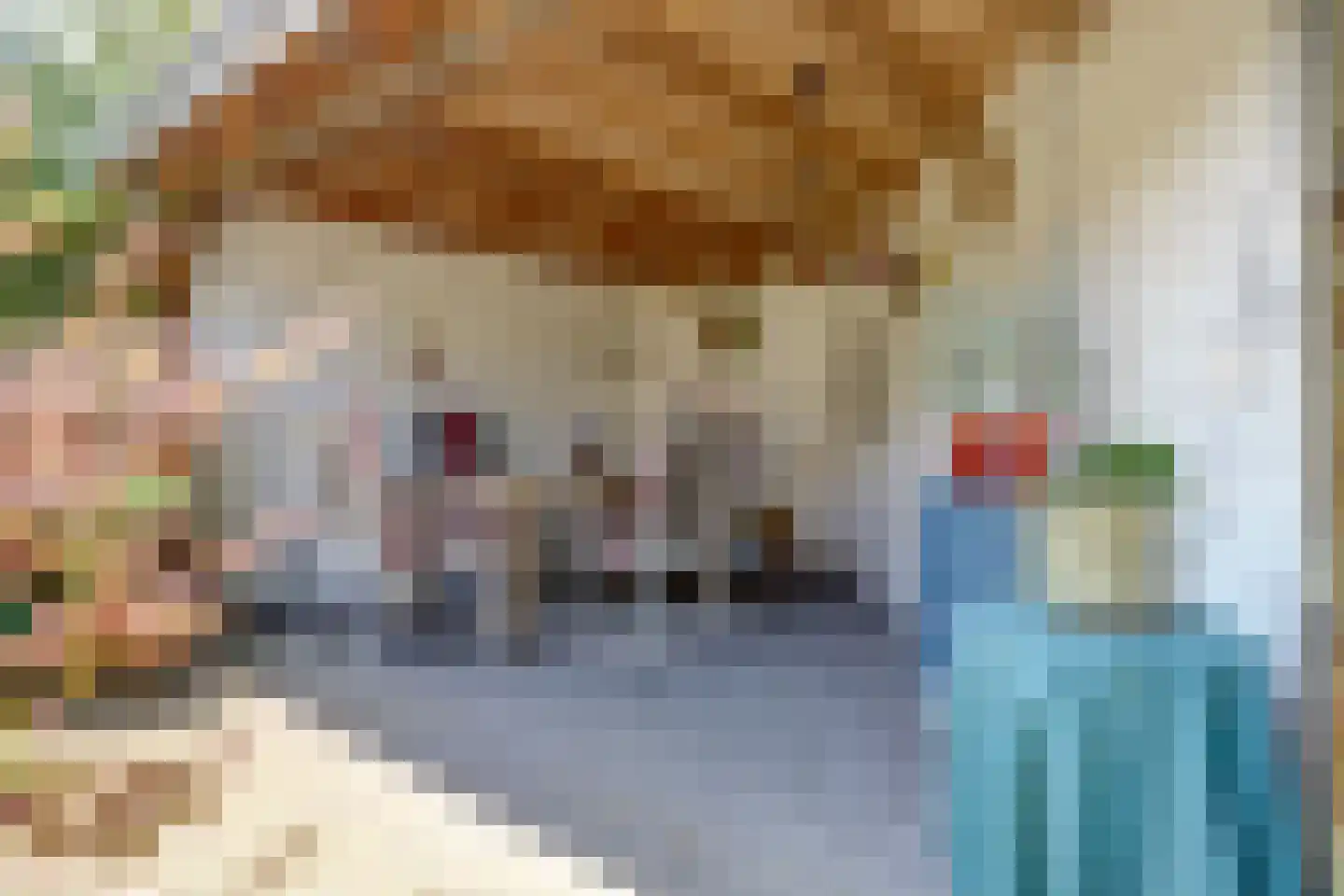 Eekhool 53 Hilvarenbeek thumbnail 28