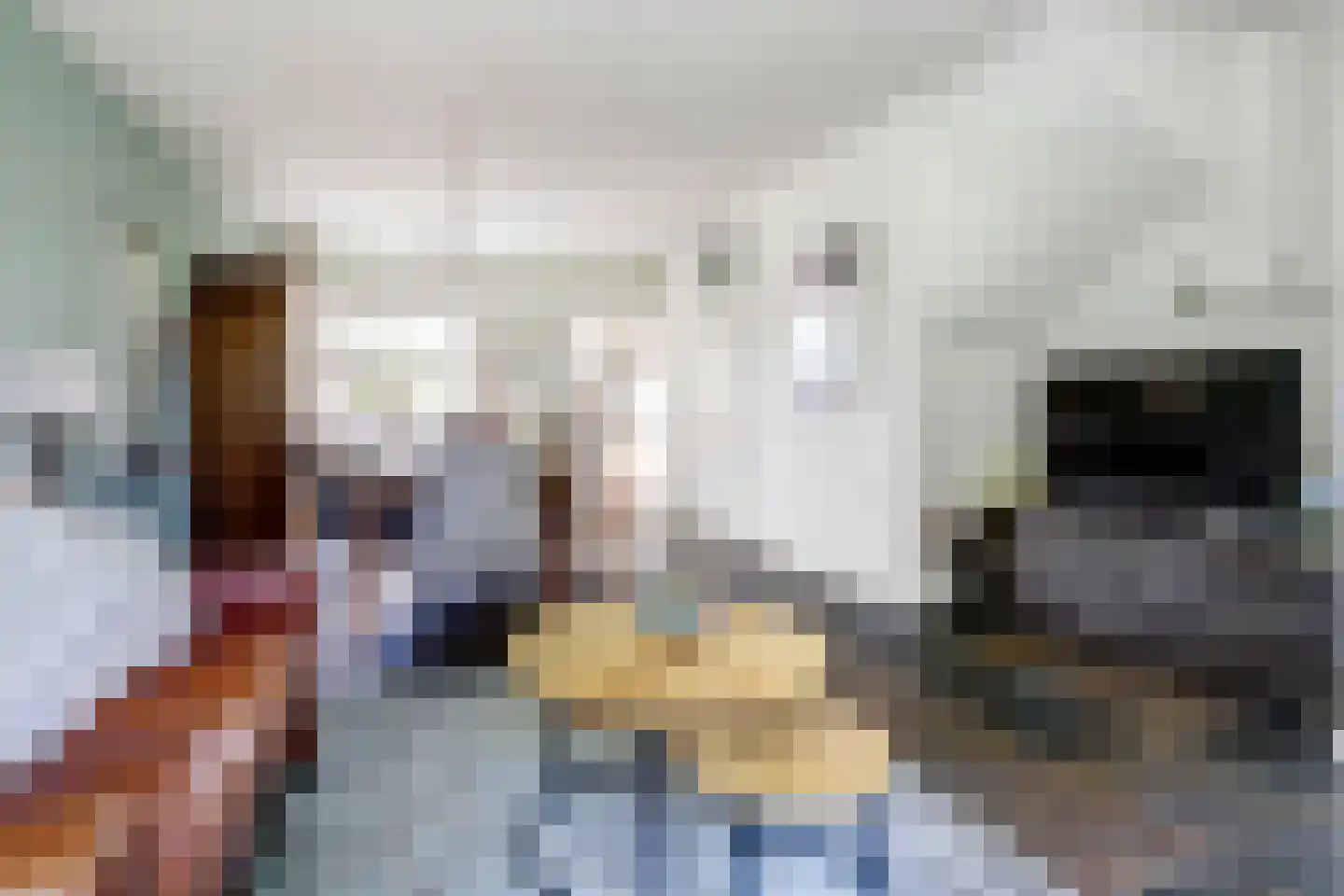 Eekhool 53 Hilvarenbeek thumbnail 6