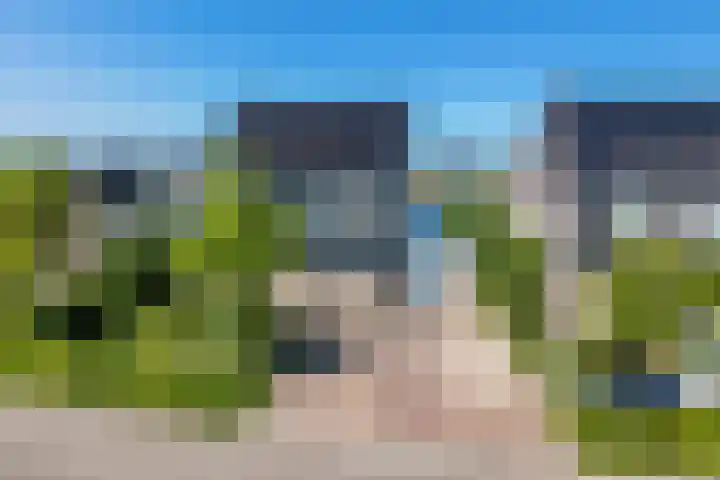 Eekhoorn 14 in Hoogeveen