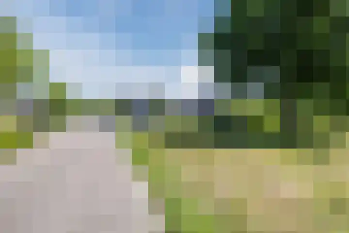 Eekhoorn 14 Hoogeveen thumbnail 10