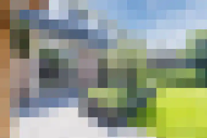 Eekhoorn 14 Hoogeveen thumbnail 100