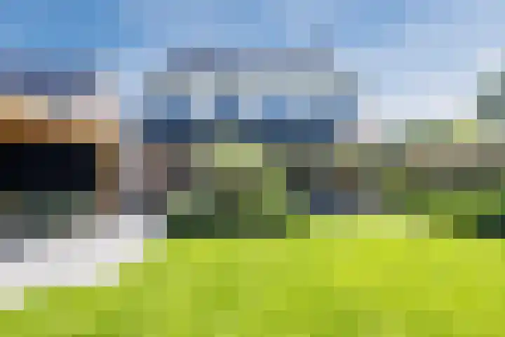 Eekhoorn 14 Hoogeveen thumbnail 101