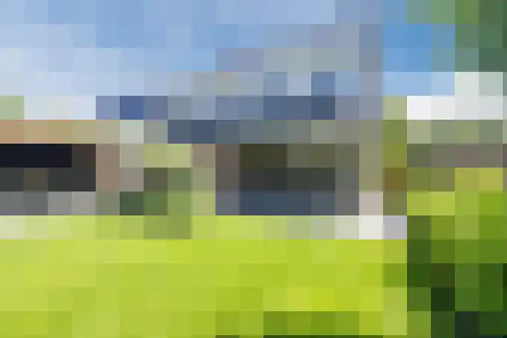 Eekhoorn 14 Hoogeveen thumbnail 102