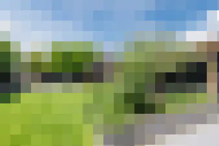 Eekhoorn 14 Hoogeveen thumbnail 103